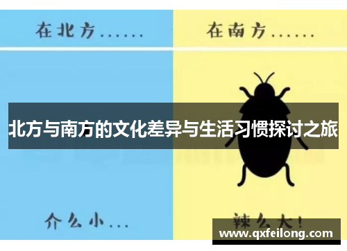 北方与南方的文化差异与生活习惯探讨之旅