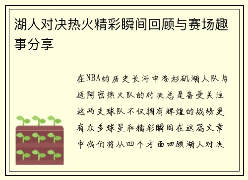 湖人对决热火精彩瞬间回顾与赛场趣事分享
